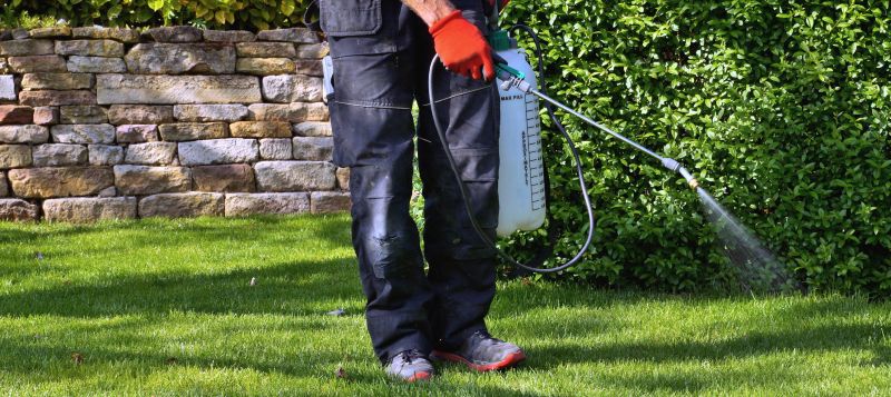 Weed Control Service in Honolulu, HI