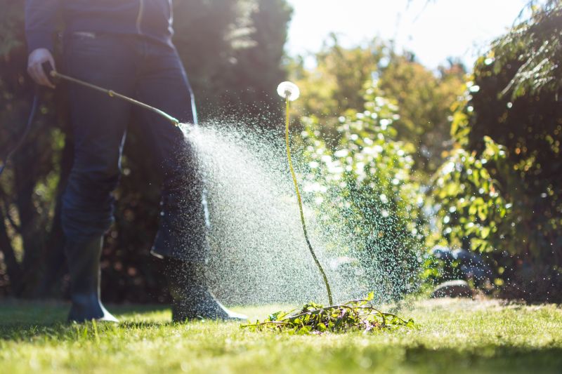 Weed Prevention Service in Ventura County, CA